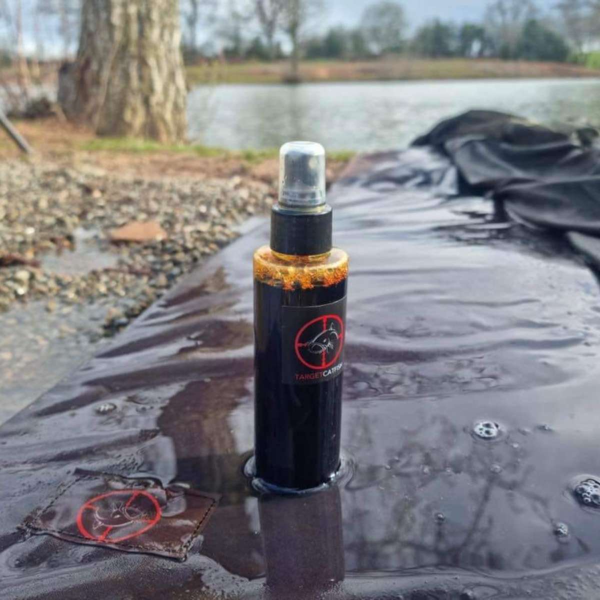 Target Catfish Cat Care